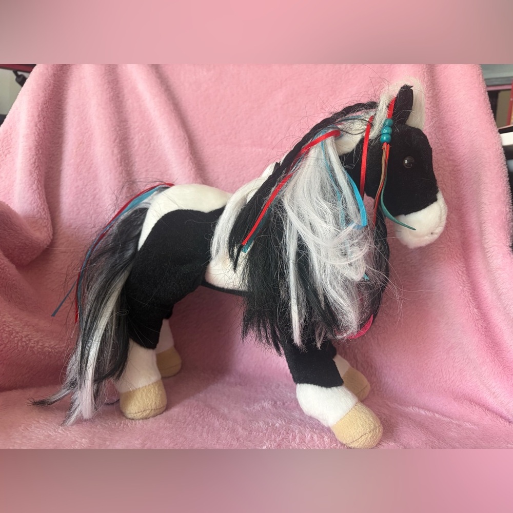 Douglas retired paint horse with ribbons